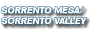 Sorrento Mesa/ Sorrento Valley