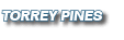 Torrey Pines