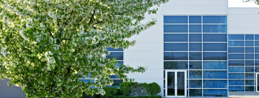 Industrial Buidling Entrance with Tree