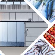 cold storage facility image with fruit vegetables and fish
