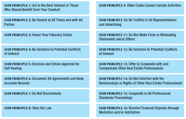 The sixteen principles of the SIOR code of conduct.